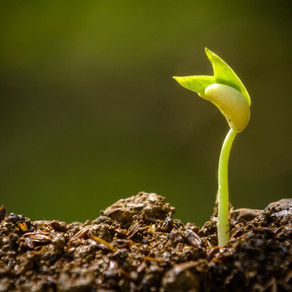TODAY'S PROMPT: "BRAND NEW"