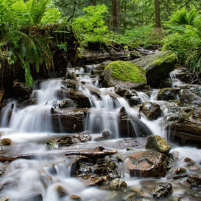 Watching the White Water of the Mind