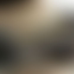 My Money - My Puppy - My Heart
