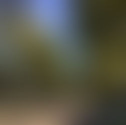 An Experiment in Civic Engagement: “L’Eggo my Ego”