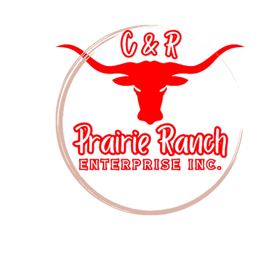 Logo_edited_edited.png