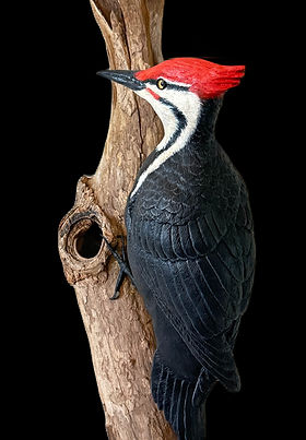 Available Carvings | wildbirdsinwood
