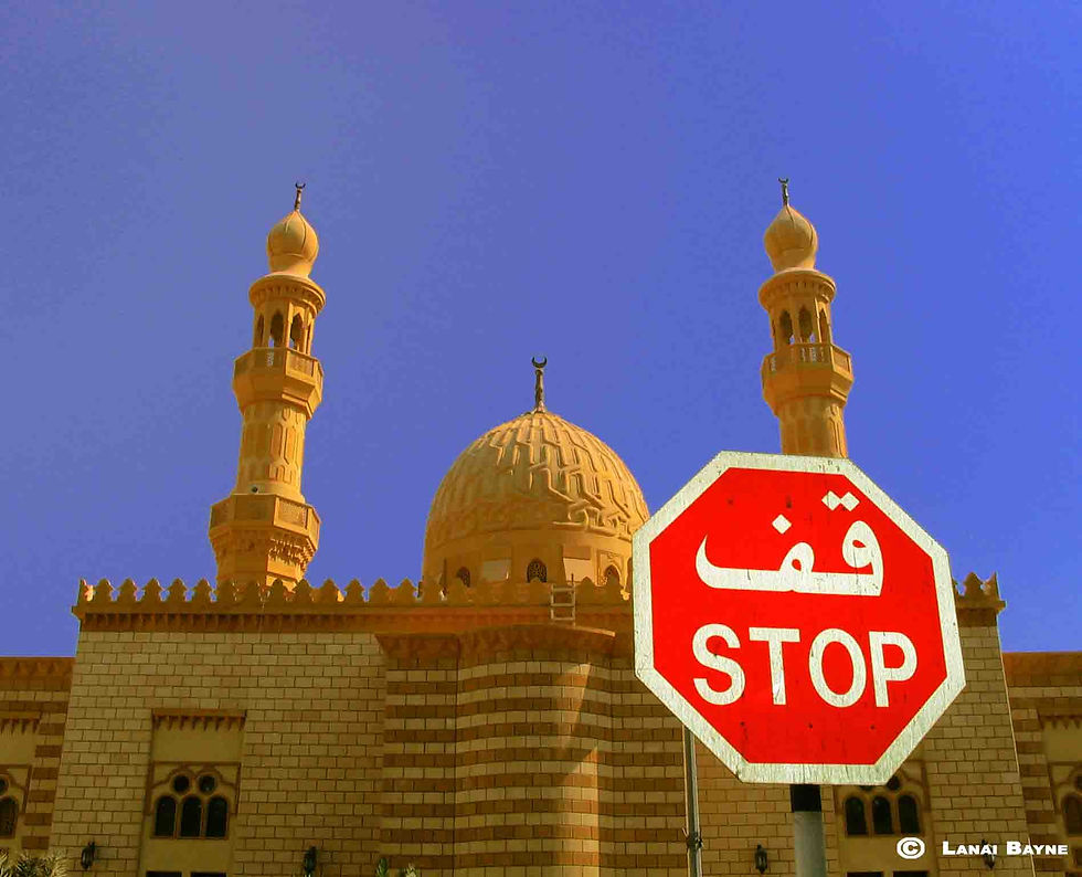 Premium Aluminyzed Prints