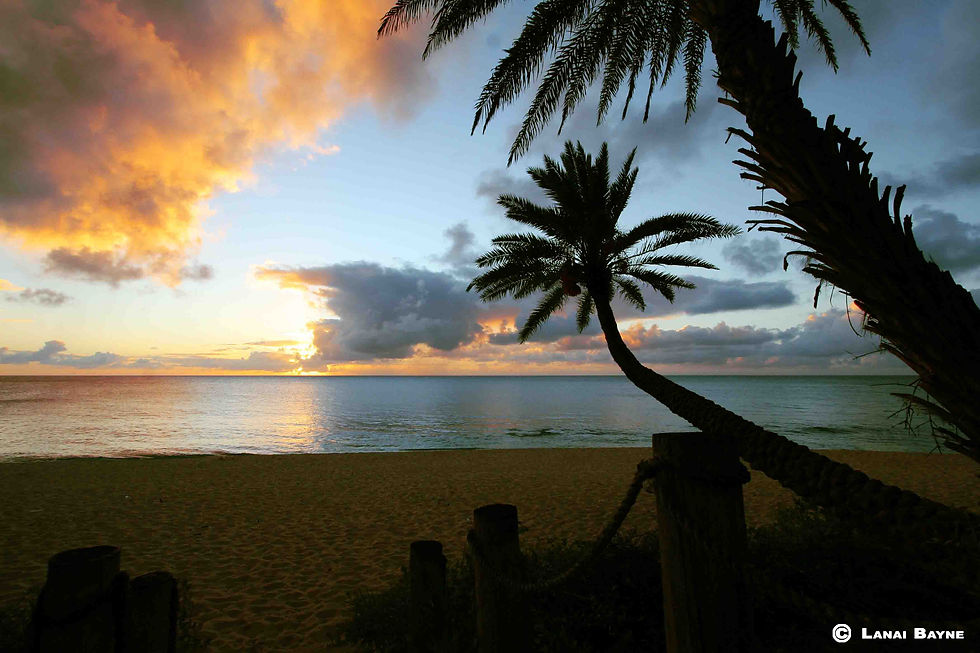 Premium Aluminyzed Prints