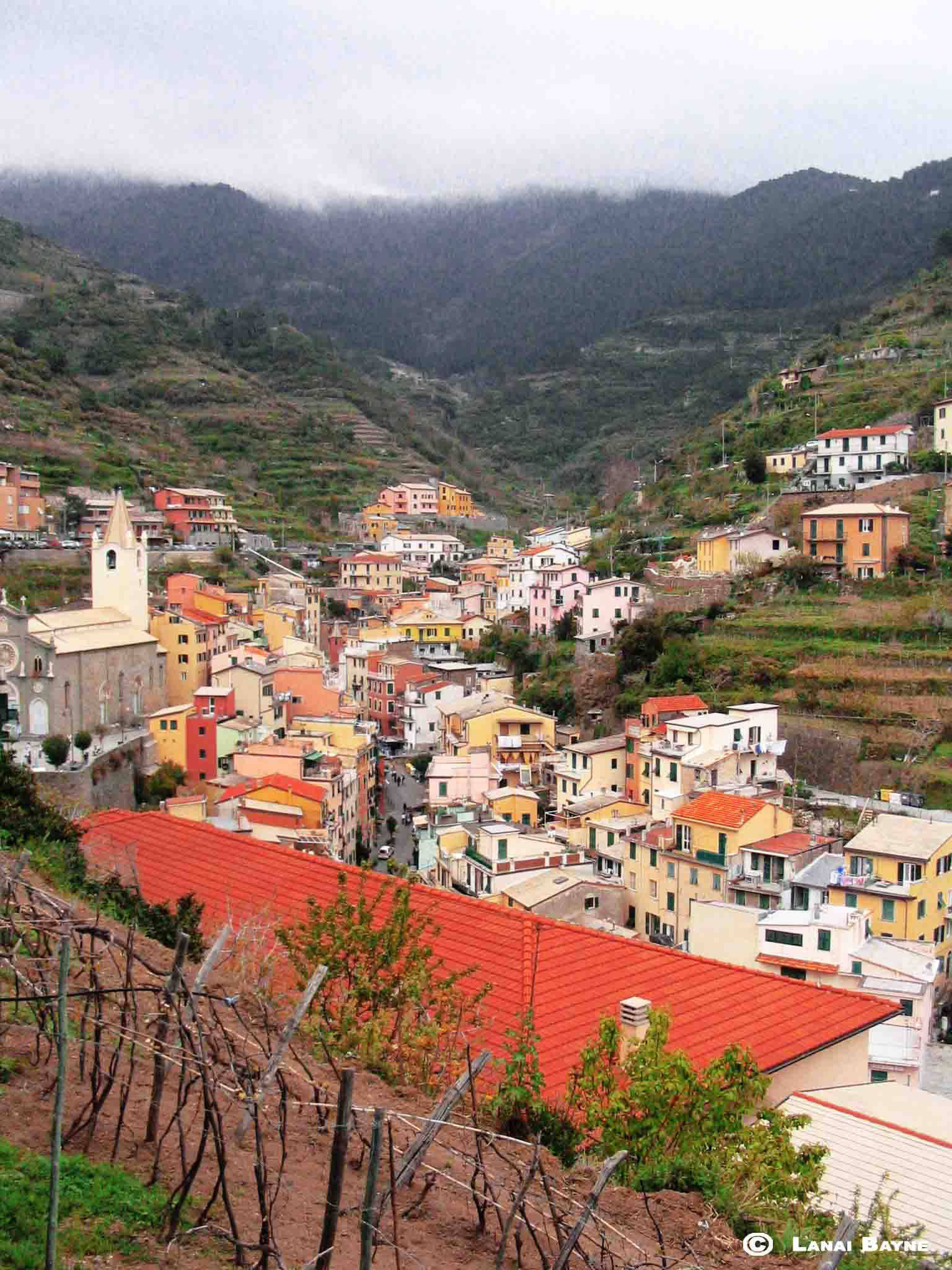 Premium Aluminyzed Prints