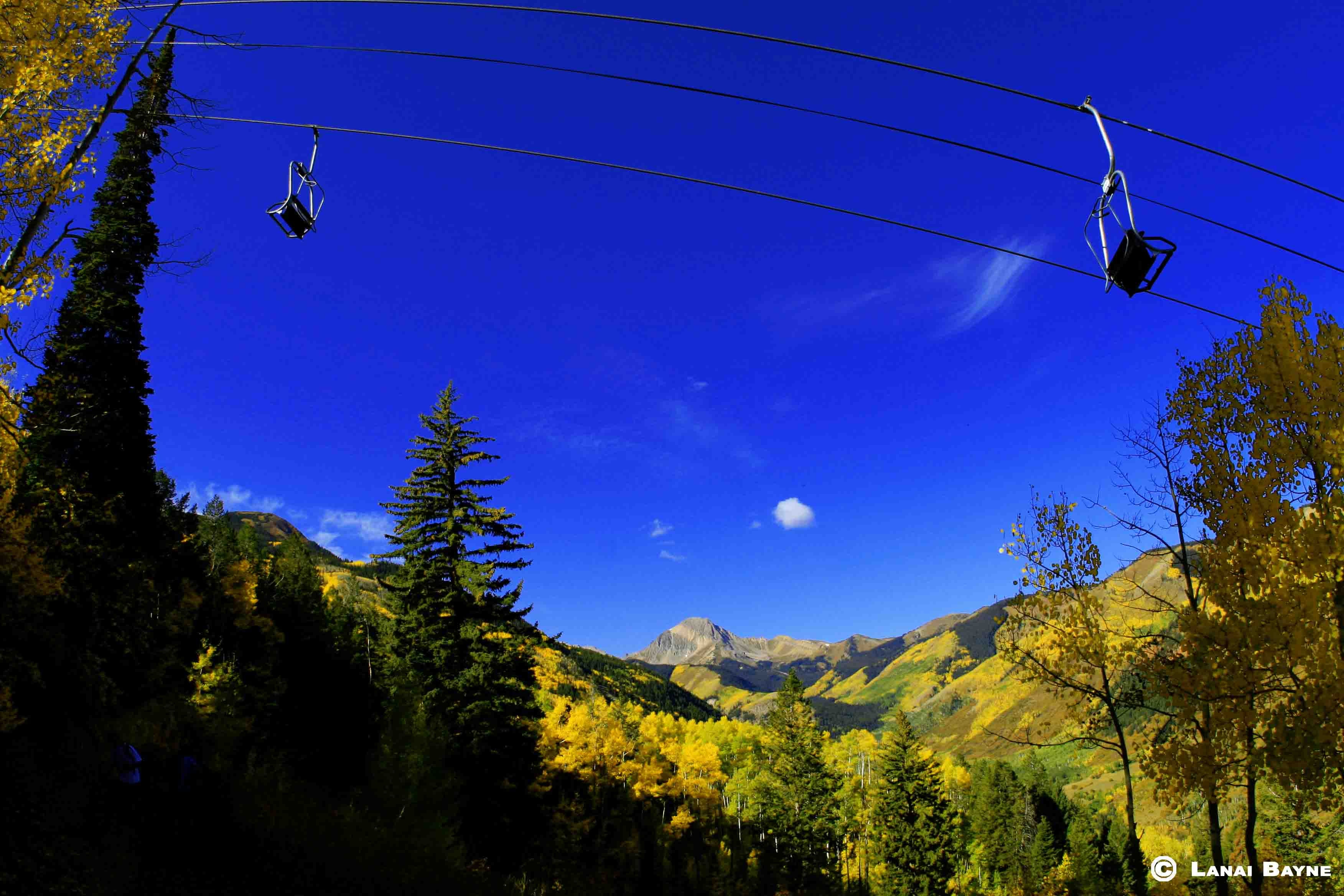 Premium Aluminyzed Prints