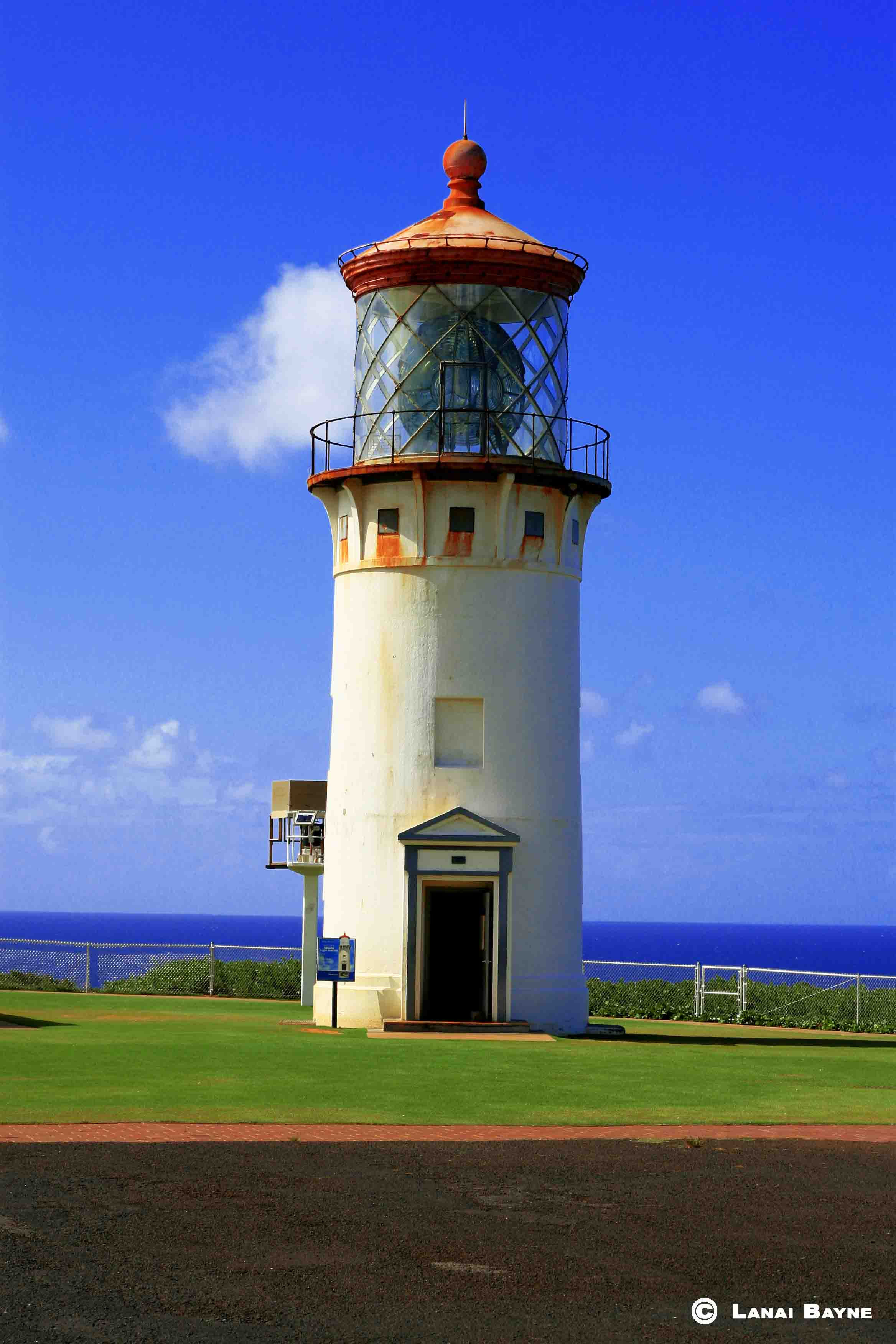 Prints on Kodak Professional Photo Paper