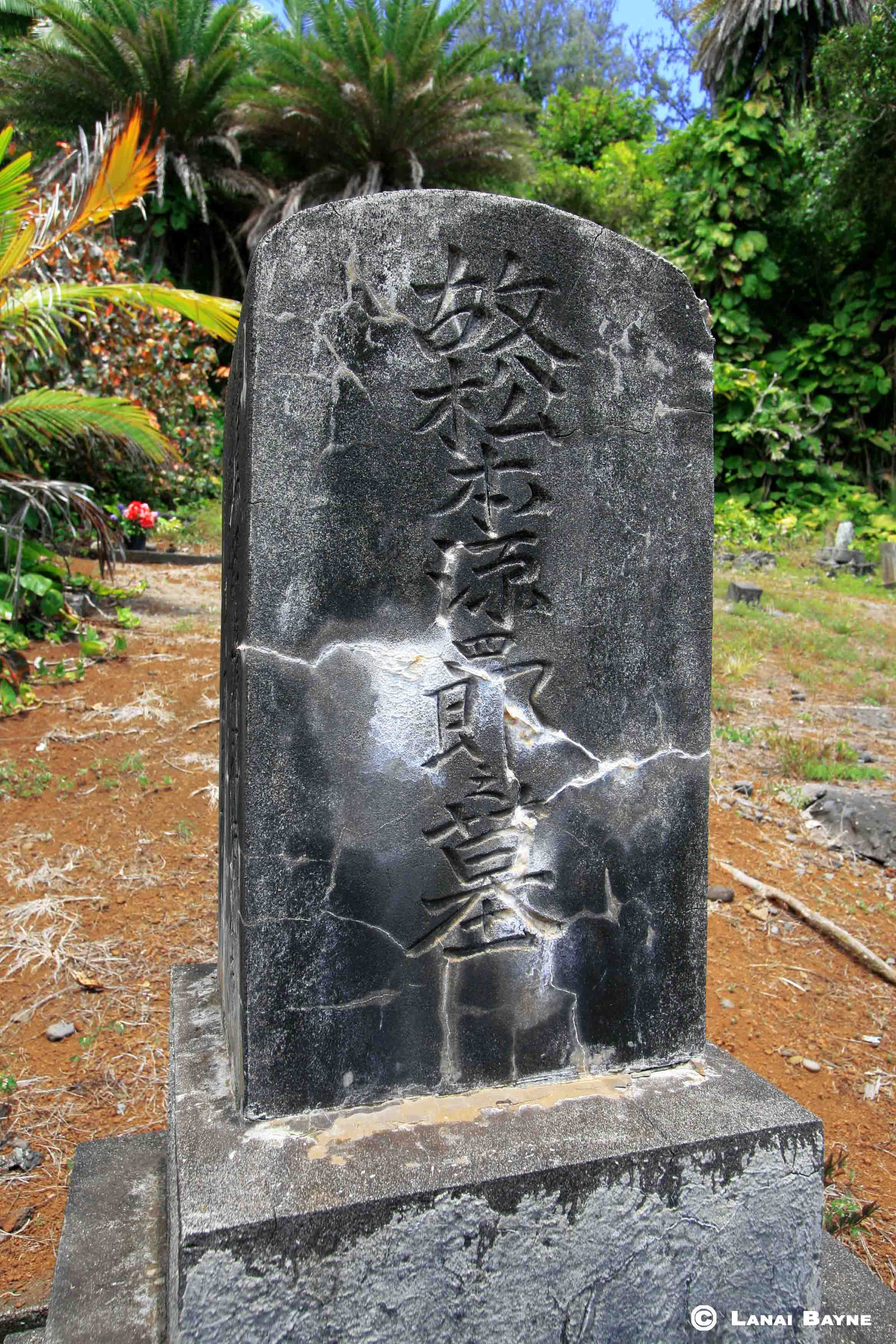 Prints on Kodak Professional Photo Paper