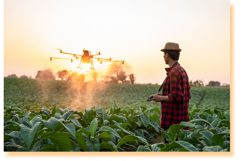 飛助を取り入れたことにより労力が削減されている様子