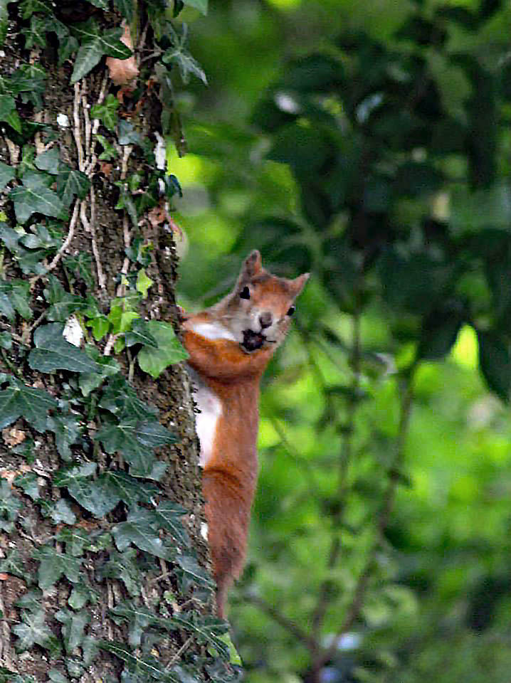 11425240_1077122955634613_2724141911561794404_n