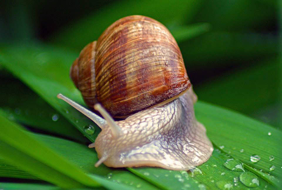 11163241_1054037364609839_4468335186022639377_n