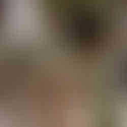 Table de noel rustique coyé maison