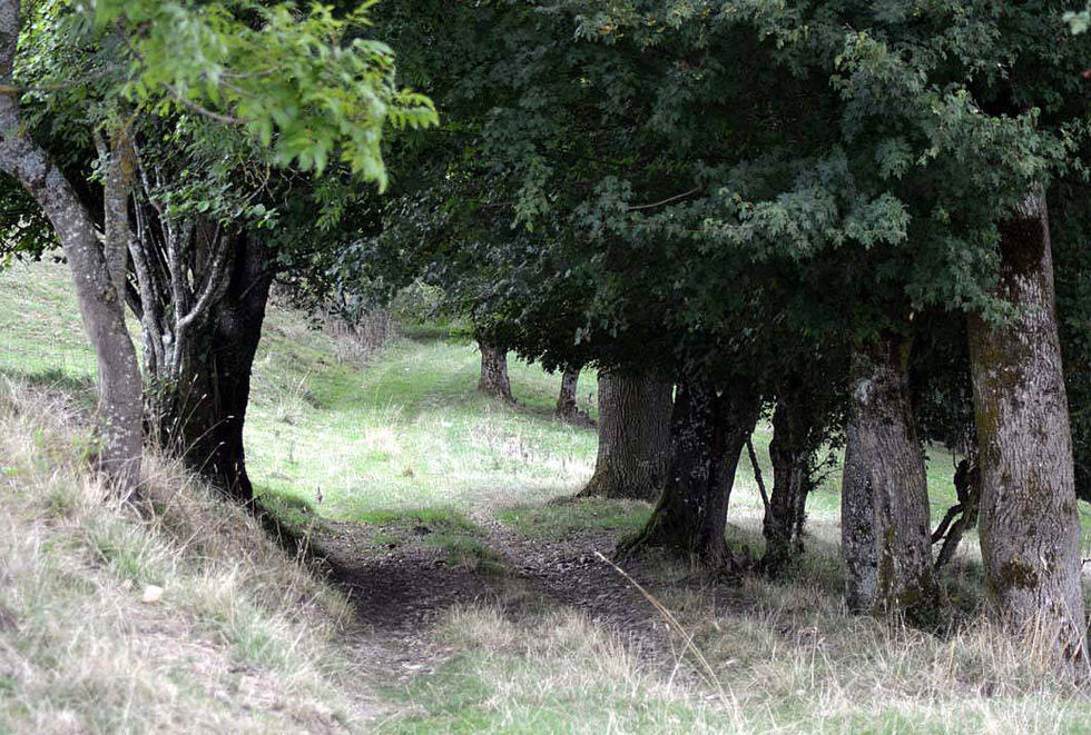 11882825_1125346327478942_1302525384413902149_o