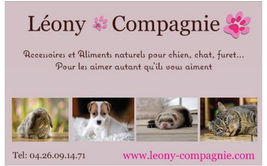 création visuel, logo et carte de visite boutique en ligne animalière