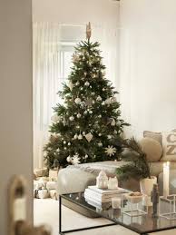comment choisir son sapin de noel