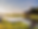 moremi strip.png