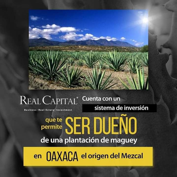 Inversiones Inteligentes con Plan de Negocios