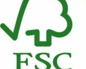 fsc2_edited_edited.jpg