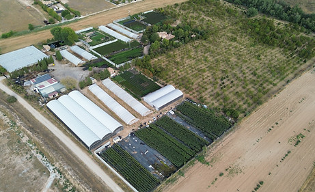 Vista Aérea Viveros Alborada, S.L.