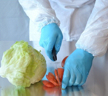 थंबनेल: PROVAL-Foodie Blues Duo PF - Vinyl / Nitrile Disposable Glove