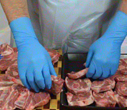 Hình thu nhỏ: PROVAL-Nite Long - Nitrile Examination Glove