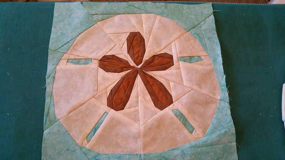 Sand Dollar Foundation Paper Piecing Pattern