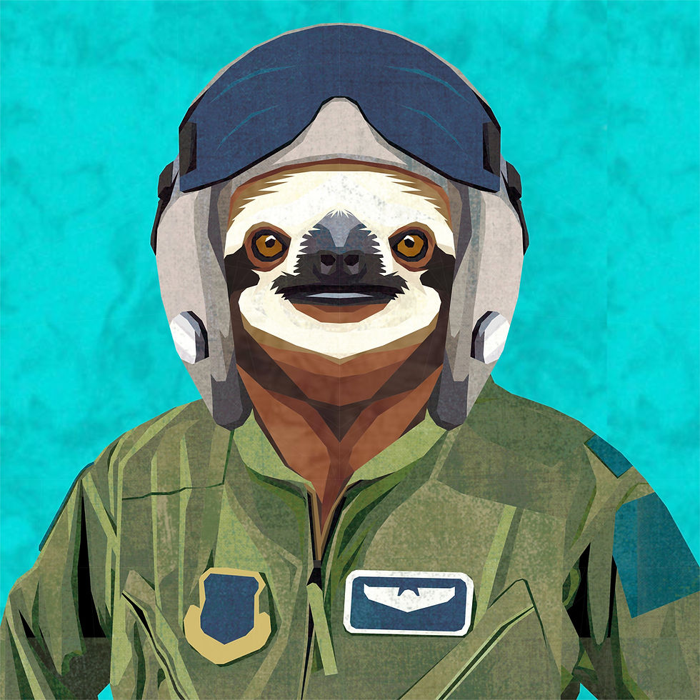 Thumbnail: Sloth Fighter Pilot Silly Animal Foundation Paper Piecing Pattern