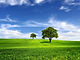 Imagine 19.jpeg