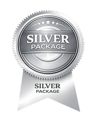 Silver Package medal and ribbon.png