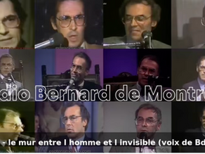 Radio Bernard de Montréal: la FM qui rend intelligent