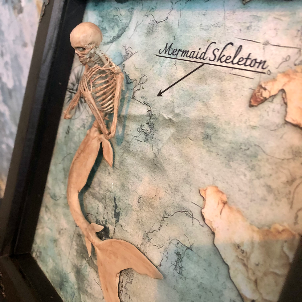 Thumbnail: Skeleton mermaid curiosity 3D framed artwork