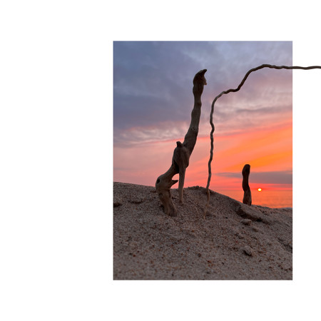 Sticks & Tricks on the Baltic Seashore (mixed media artworks) | Personal project (Auste Parulyte), Curonian Spit, 2022
