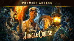Premier Access Branding