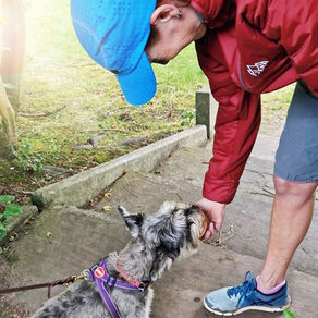The runner, a lady, bending down to reward a small dog after being found
