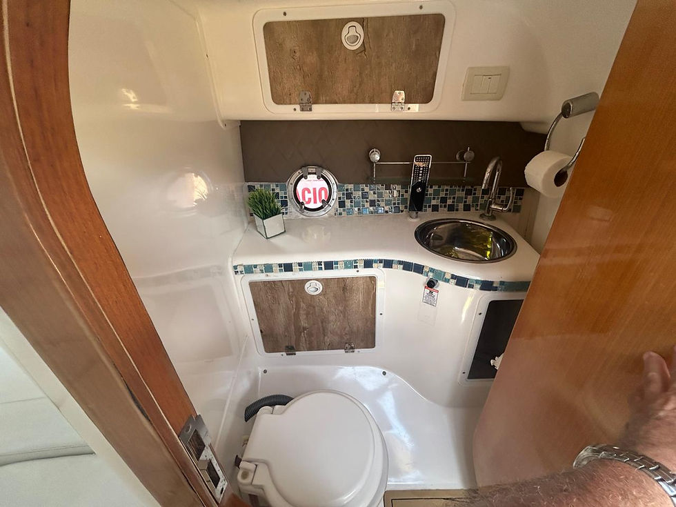 Miniatura: PHANTOM 290 ANO 2008