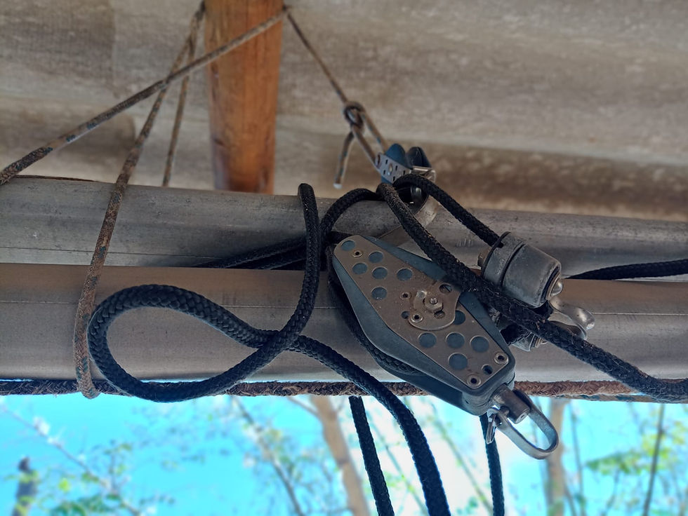 Miniatura: Taití 16