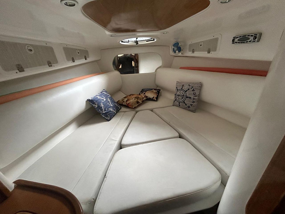 Miniatura: PHANTOM 290 ANO 2008