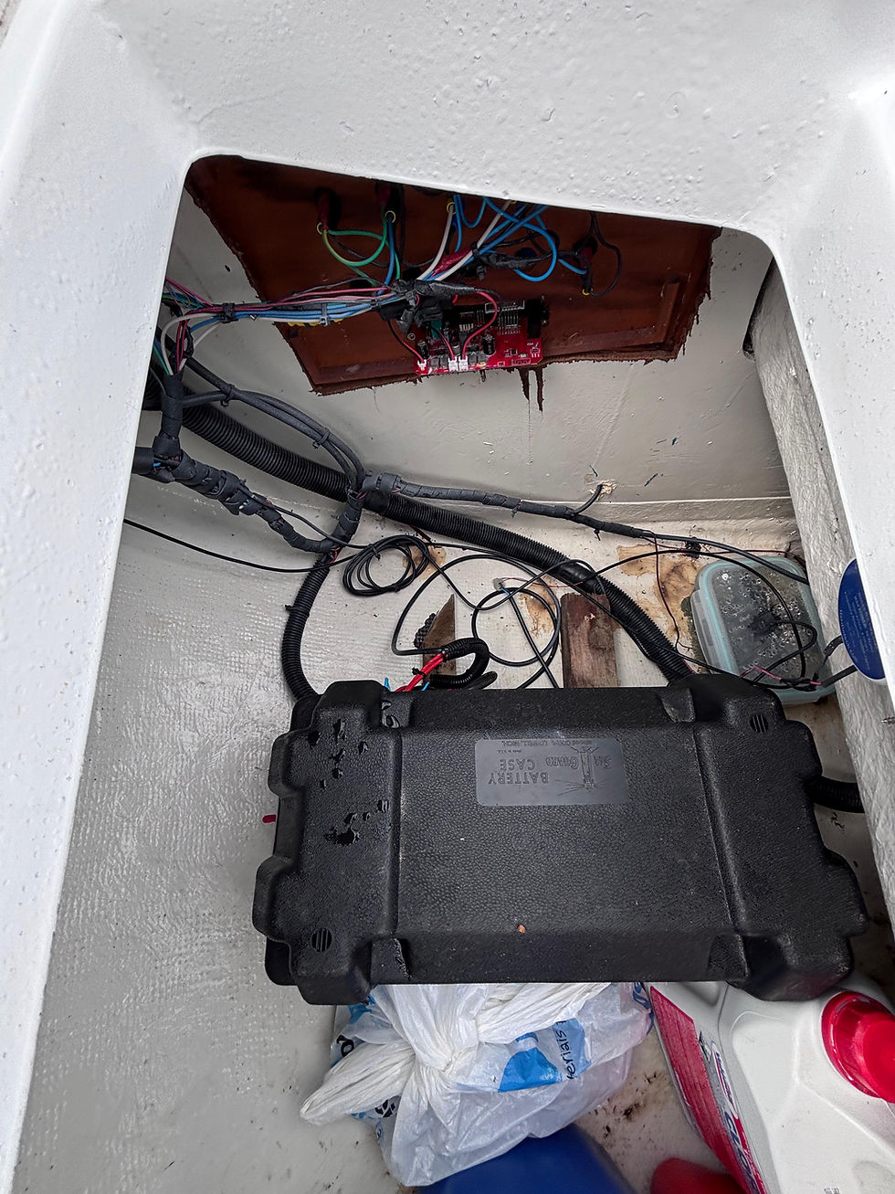 Miniatura: Marreco 16 - Ohana