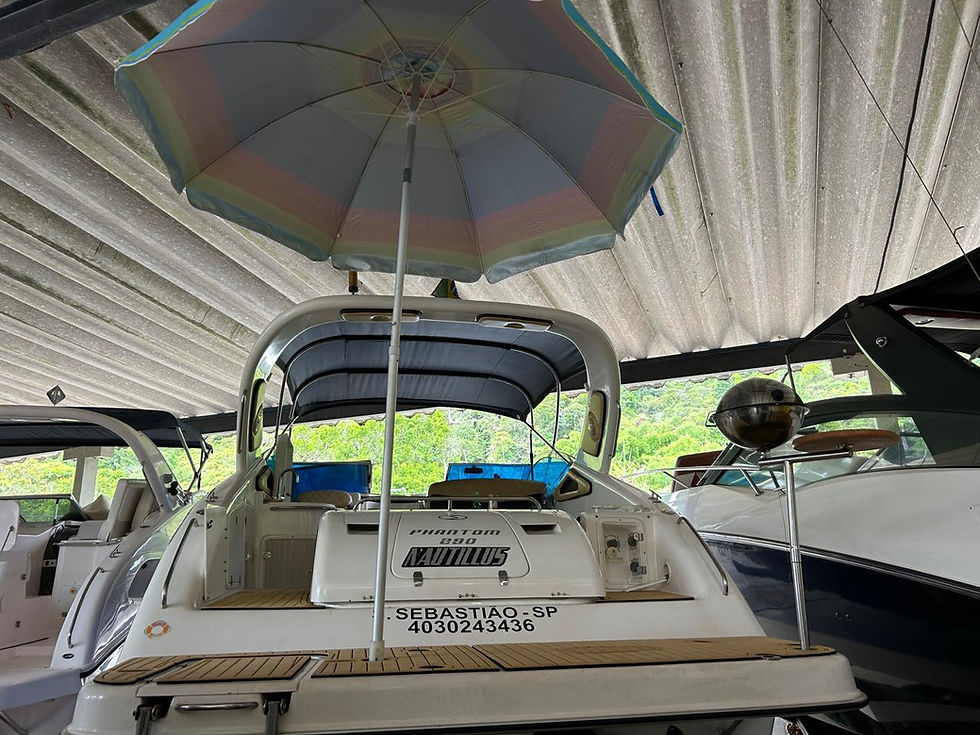 Miniatura: PHANTOM 290 ANO 2008