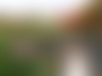 CÁCH CHỌN CHẬU TRỒNG HOA GIẤY ĐẸP | GỐM SỨ KIM LAN HÀ NỘI