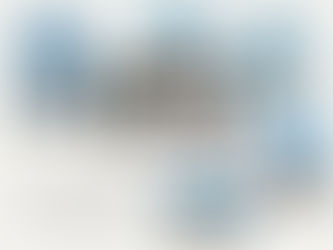 Bán chậu sứ trắng trồng cây kim tiền đẹp | Gốm Sứ Kim Lan Hà Nội