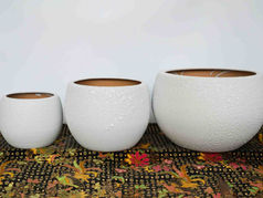 Chậu trứng bằng gốm sứ cắm lan hồ điệp