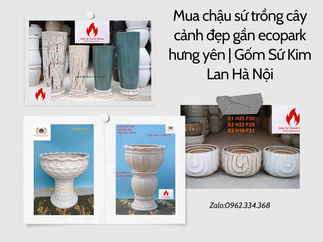 Mua chậu sứ trồng cây cảnh đẹp gần ecopark hưng yên | Gốm Sứ Kim Lan Hà Nội