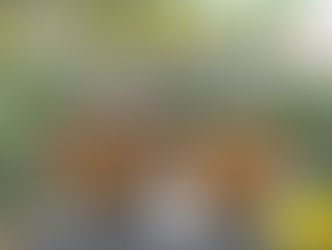 Bát Sọc xi măng nhẹ sơn nhũ đồng Kim Lan Hà Nội trồng cây phong thuỷ trong nhà