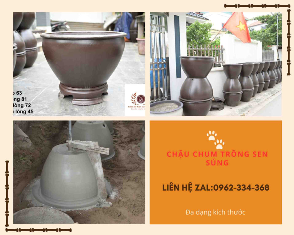 Trong xu hướng thiết kế cảnh quan hiện đại, việc đưa thiên nhiên vào không gian sống không chỉ dừng lại ở những chậu cây xanh mướt, mà còn là sự kết hợp hài hòa giữa hoa và nước. Trong đó, trồng sen, súng trong các chậu xi măng dáng chum đang trở thành một trào lưu thịnh hành, mang lại vẻ đẹp tĩnh lặng, thanh tao và đậm chất truyền thống.
