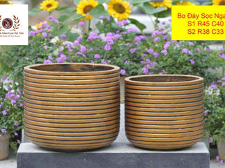 Chậu Xi Măng Nhẹ Bo Đáy Sọc Ngang Từ Xưởng Chậu Xi Măng Kim Lan, Hà Nội