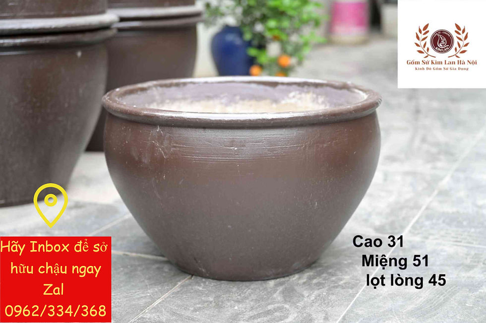 Mua Chậu Chum Xi Măng Trồng Sen Súng Giá Rẻ Tại Hà Nội Ở Đâu?