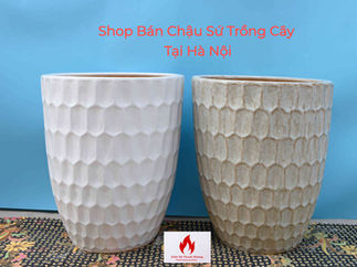 Khám Phá Các Shop Bán Chậu Sứ Trồng Cây Tại Hà Nội | Xưởng Sản Xuất Chậu sứ Trồng Cây Kim Lan Xã Bát Tràng Thành Phố Hà Nội