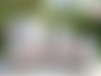 Chậu Xi Măng Tròn Bo Đáy Dáng Cao Sản Xuất Tại Xưởng Chậu Xi Măng Kim Lan Hà Nội