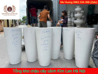 Tổng kho chậu cây cảnh Kim Lan Hà Nội | Gốm Sứ Kim Lan Hà Nội